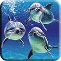 Beatiful Dolphin Wallpapers on 9Apps