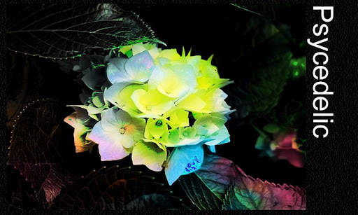 Photo Editor &amp; Photo Effects screenshot 2