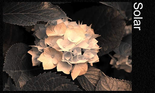 Photo Editor &amp; Photo Effects screenshot 1
