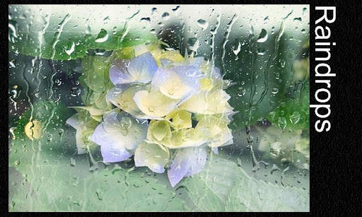 Photo Editor &amp; Photo Effects screenshot 3