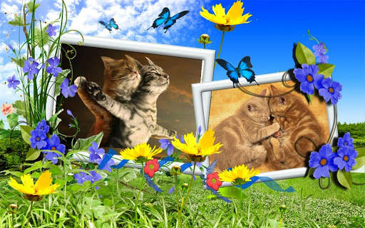 Love Frame Photo 5 تصوير الشاشة
