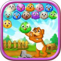 птицы пузырь столкновение