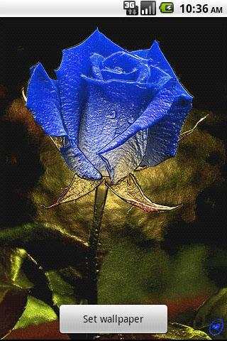 3D Rose Live Wallpaper 1 تصوير الشاشة