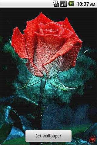 3D Rose Live Wallpaper 2 تصوير الشاشة