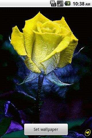 3D Rose Live Wallpaper 3 تصوير الشاشة