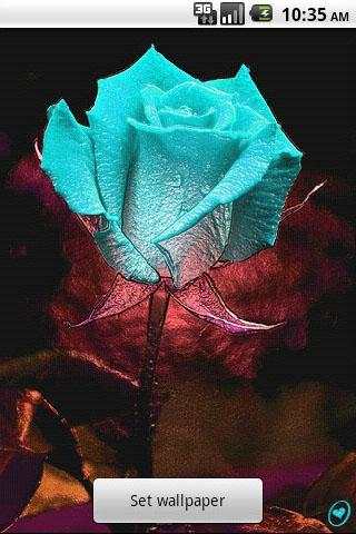 3D Rose Live Wallpaper 4 تصوير الشاشة