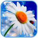 3D Flowers live wallpaper on 9Apps