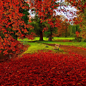 Autumn HD Live Wallpapers icon