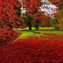 Autumn HD Live Wallpapers 1.0