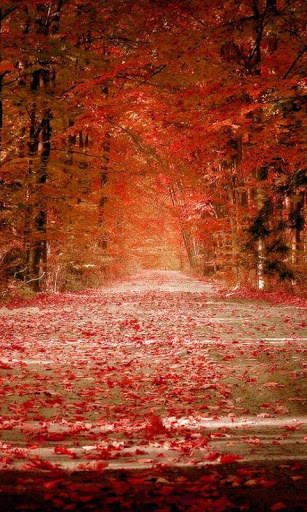 Autumn HD Live Wallpapers screenshot 3