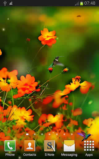 Birds 3D Live Wallpapers screenshot 3