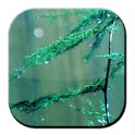 Rain Drop LiveWallpaper icon