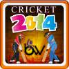 cricket 2014