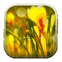 Macro 3D Live Wallpapers icon