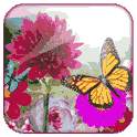 Flowers HD Free Live Wallpaper 2.2