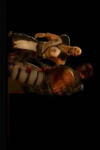 Mortal Kombat 9 Fatalities Mx screenshot 7