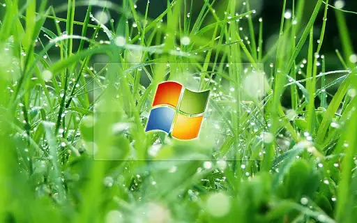 Green Grass Live HD Wallpapers APK Download 2023 - Free - 9Apps Green Grass Live HD Wallpapers APK Download 2023 - Free - 9Apps
