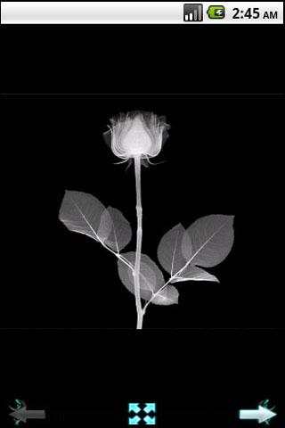 X-ray Photography screenshot 1