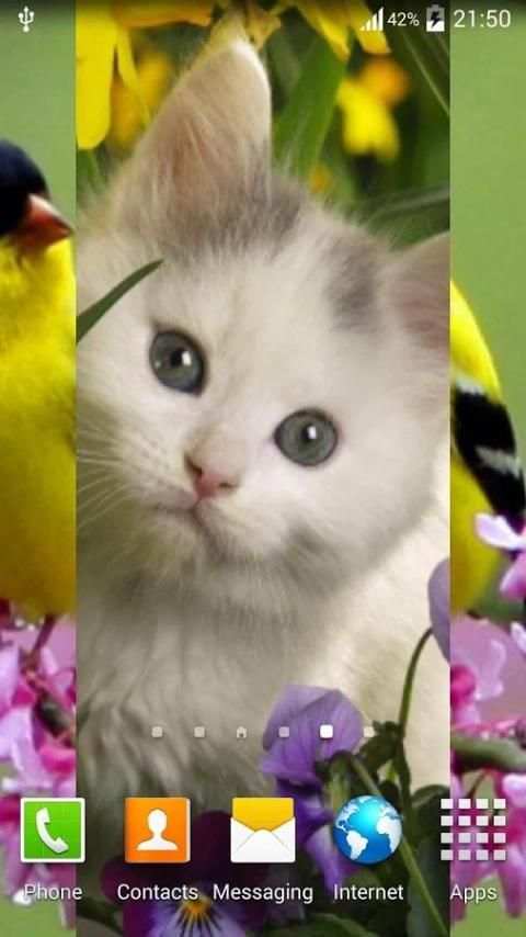 My Photos FX Live Wallpaper स्क्रीनशॉट 3