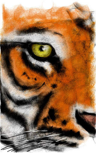 Sketch Pad + Drawing Pad 7 تصوير الشاشة