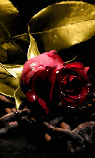 3D Roses Wallpaper screenshot 1