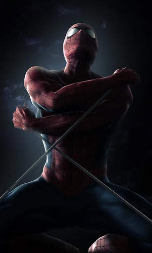 Spiderman Wallpapers HD HQ screenshot 3