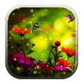 Birds HD in Live Wallpaper icon
