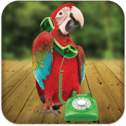 Parrot Phone Call иконка