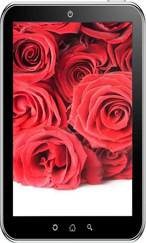 Rose Wallpaper HD 6 تصوير الشاشة