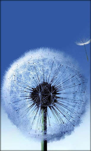 Galaxy S3 Live Wallpaper screenshot 1