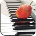 Piano Ringtones 1.9