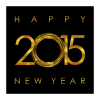 2015 icon