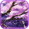 Sakura Live Wallpapers icon