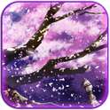 Sakura Live Wallpapers on 9Apps