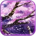 Sakura Live Wallpaper 1.01