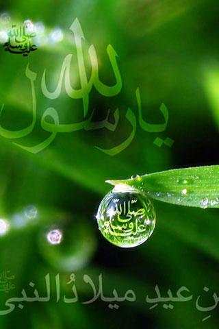 Best Islam Wallpapers screenshot 4