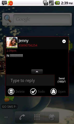 GOSMSTHEME Windows 8 SE screenshot 2