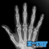 X-Ray Scanner icon