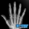 X-Ray Scanner 1.7.6