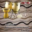 (Drums) Percussion instrument