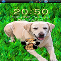 Go Locker Labrador Dog Theme icon