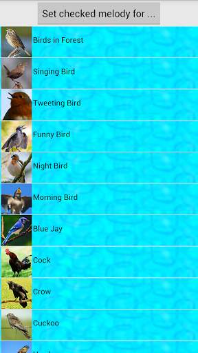 Bird Sounds Ringtones screenshot 1
