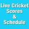 Ashes 2013 Live Cricket Scores