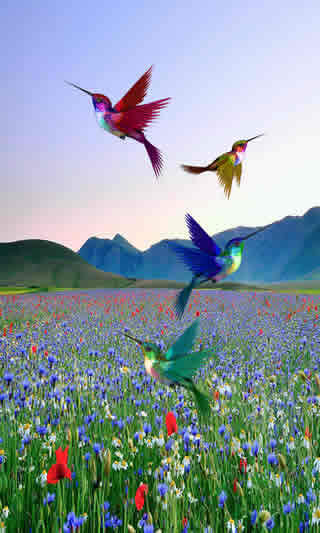 Birds Live Wallpaper скриншот 1