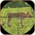 Lion Hunting 3D