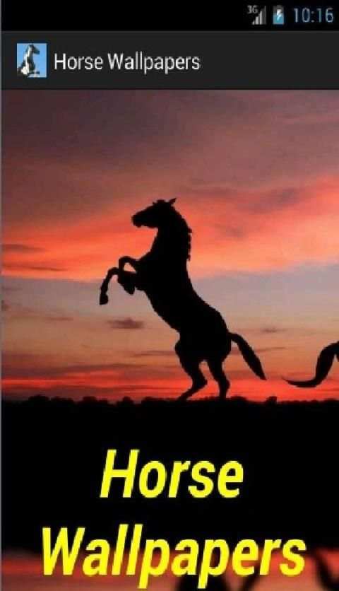 Horse Wallpapers screenshot 3