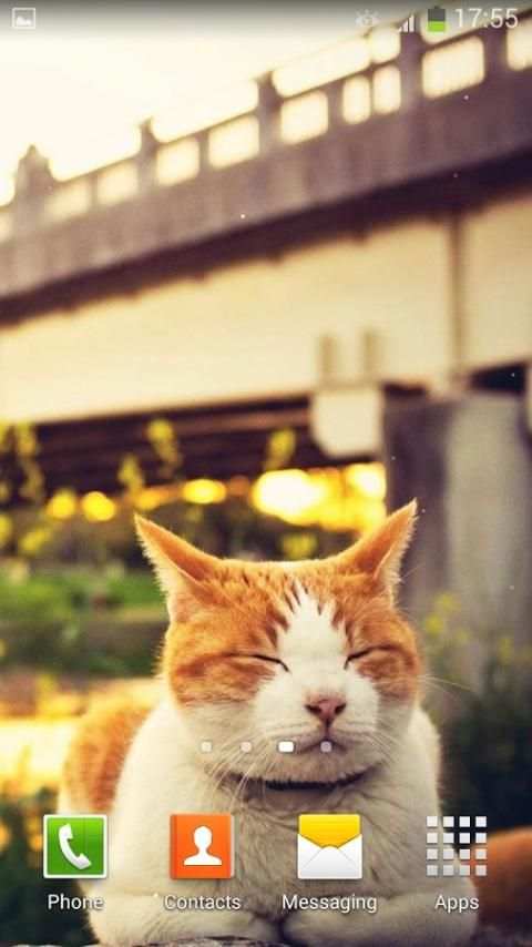 Cute Kitty Live Wallpaper screenshot 5