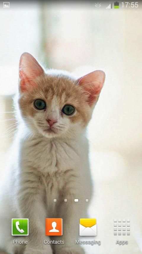 Cute Kitty Live Wallpaper screenshot 4