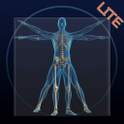 3D Browser Viewer Lite 1.5