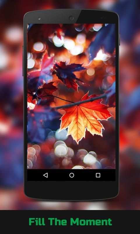 Autumn Live Wallpaper screenshot 3